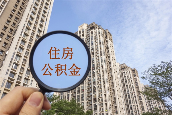 龙海离职后公司不给转公积金怎么办（离职后公司不给转社保怎么办）